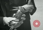 Image of Alfred Hitchcock United States USA, 1963, second 14 stock footage video 65675041910