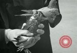 Image of Alfred Hitchcock United States USA, 1963, second 15 stock footage video 65675041910