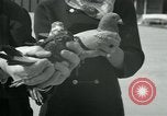Image of Alfred Hitchcock United States USA, 1963, second 19 stock footage video 65675041910