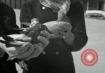 Image of Alfred Hitchcock United States USA, 1963, second 20 stock footage video 65675041910