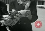 Image of Alfred Hitchcock United States USA, 1963, second 21 stock footage video 65675041910