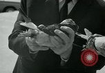 Image of Alfred Hitchcock United States USA, 1963, second 30 stock footage video 65675041910