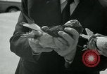 Image of Alfred Hitchcock United States USA, 1963, second 31 stock footage video 65675041910