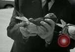 Image of Alfred Hitchcock United States USA, 1963, second 32 stock footage video 65675041910