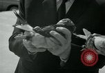 Image of Alfred Hitchcock United States USA, 1963, second 33 stock footage video 65675041910