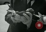 Image of Alfred Hitchcock United States USA, 1963, second 34 stock footage video 65675041910
