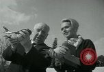 Image of Alfred Hitchcock United States USA, 1963, second 43 stock footage video 65675041910