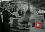 Image of Alfred Hitchcock United States USA, 1963, second 38 stock footage video 65675041911