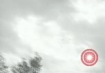 Image of Alfred Hitchcock United States USA, 1963, second 46 stock footage video 65675041911