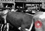 Image of Chicago landmarks and 1950s street scenes Chicago Illinois USA, 1953, second 12 stock footage video 65675041928