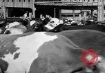 Image of Chicago landmarks and 1950s street scenes Chicago Illinois USA, 1953, second 14 stock footage video 65675041928