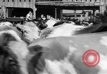 Image of Chicago landmarks and 1950s street scenes Chicago Illinois USA, 1953, second 15 stock footage video 65675041928