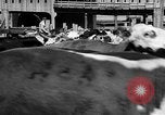 Image of Chicago landmarks and 1950s street scenes Chicago Illinois USA, 1953, second 17 stock footage video 65675041928