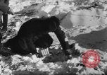 Standbild Blue Division spanische Truppen unter Commander Grandes Zweiten Weltkrieg Leningrad Russland Sowjetunion, 1942, aus Sekunde 13 historischem Filmmaterial Videoclip 65675041932