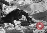 Standbild Blue Division spanische Truppen unter Commander Grandes Zweiten Weltkrieg Leningrad Russland Sowjetunion, 1942, aus Sekunde 14 historischem Filmmaterial Videoclip 65675041932