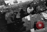 Standbild Blue Division spanische Truppen unter Commander Grandes Zweiten Weltkrieg Leningrad Russland Sowjetunion, 1942, aus Sekunde 31 historischem Filmmaterial Videoclip 65675041932