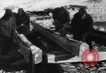 Standbild Blue Division spanische Truppen unter Commander Grandes Zweiten Weltkrieg Leningrad Russland Sowjetunion, 1942, aus Sekunde 35 historischem Filmmaterial Videoclip 65675041932