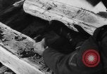 Standbild Blue Division spanische Truppen unter Commander Grandes Zweiten Weltkrieg Leningrad Russland Sowjetunion, 1942, aus Sekunde 41 historischem Filmmaterial Videoclip 65675041932