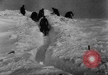 Standbild Blue Division spanische Truppen unter Commander Grandes Zweiten Weltkrieg Leningrad Russland Sowjetunion, 1942, aus Sekunde 46 historischem Filmmaterial Videoclip 65675041932