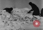 Standbild Blue Division spanische Truppen unter Commander Grandes Zweiten Weltkrieg Leningrad Russland Sowjetunion, 1942, aus Sekunde 50 historischem Filmmaterial Videoclip 65675041932
