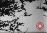 Standbild Deutsche Nachspeisen defensive Kräfte am Strand von Cargo Segelflugzeuge während Wo Italien, 1943, aus Sekunde 10 historischem Filmmaterial Videoclip 65675041934
