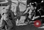 Image of C 47 aircraft European Theater, 1943, second 20 stock footage video 65675041943