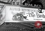 Image Alfred Hitchcock New York City USA, 1963, de la seconde 3 séquences d'archives historiques vidéo 65675041948