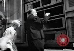Image Alfred Hitchcock New York City USA, 1963, de la seconde 32 séquences d'archives historiques vidéo 65675041948
