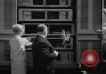 Immagine di Alfred Hitchcock New York City USA, 1963, secondo 62 filmato di repertorio 65675041949