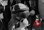 Image of prize contest Long Beach California USA, 1930, second 38 stock footage video 65675041971