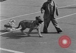 Image of prize contest Long Beach California USA, 1930, second 42 stock footage video 65675041971