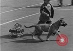 Image of prize contest Long Beach California USA, 1930, second 43 stock footage video 65675041971