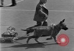 Image of prize contest Long Beach California USA, 1930, second 44 stock footage video 65675041971