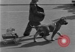 Image of prize contest Long Beach California USA, 1930, second 46 stock footage video 65675041971