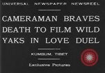 Standbild Yak Schlacht Kumbum Tibet, 1930, aus Sekunde 4 historischem Filmmaterial Videoclip 65675041972