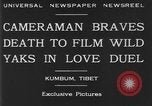 Standbild Yak Schlacht Kumbum Tibet, 1930, aus Sekunde 5 historischem Filmmaterial Videoclip 65675041972