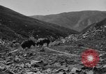 Standbild Yak Schlacht Kumbum Tibet, 1930, aus Sekunde 21 historischem Filmmaterial Videoclip 65675041972
