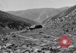 Standbild Yak Schlacht Kumbum Tibet, 1930, aus Sekunde 33 historischem Filmmaterial Videoclip 65675041972