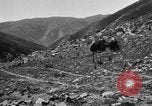 Standbild Yak Schlacht Kumbum Tibet, 1930, aus Sekunde 44 historischem Filmmaterial Videoclip 65675041972