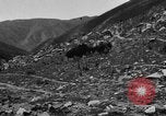 Standbild Yak Schlacht Kumbum Tibet, 1930, aus Sekunde 46 historischem Filmmaterial Videoclip 65675041972