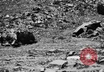 Standbild Yak Schlacht Kumbum Tibet, 1930, aus Sekunde 56 historischem Filmmaterial Videoclip 65675041972