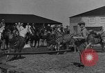 Standbild Zebras und Pferde im Circus Sarasota Florida USA, 1930, aus Sekunde 10 historischem Filmmaterial Videoclip 65675041973
