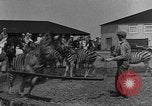 Standbild Zebras und Pferde im Circus Sarasota Florida USA, 1930, aus Sekunde 11 historischem Filmmaterial Videoclip 65675041973