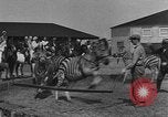 Standbild Zebras und Pferde im Circus Sarasota Florida USA, 1930, aus Sekunde 16 historischem Filmmaterial Videoclip 65675041973