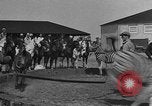 Standbild Zebras und Pferde im Circus Sarasota Florida USA, 1930, aus Sekunde 17 historischem Filmmaterial Videoclip 65675041973