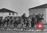 Standbild Zebras und Pferde im Circus Sarasota Florida USA, 1930, aus Sekunde 22 historischem Filmmaterial Videoclip 65675041973
