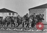 Standbild Zebras und Pferde im Circus Sarasota Florida USA, 1930, aus Sekunde 23 historischem Filmmaterial Videoclip 65675041973