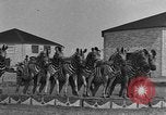 Standbild Zebras und Pferde im Circus Sarasota Florida USA, 1930, aus Sekunde 26 historischem Filmmaterial Videoclip 65675041973