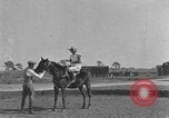 Standbild Zebras und Pferde im Circus Sarasota Florida USA, 1930, aus Sekunde 33 historischem Filmmaterial Videoclip 65675041973