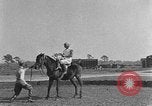Standbild Zebras und Pferde im Circus Sarasota Florida USA, 1930, aus Sekunde 34 historischem Filmmaterial Videoclip 65675041973